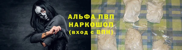 спайс Няндома