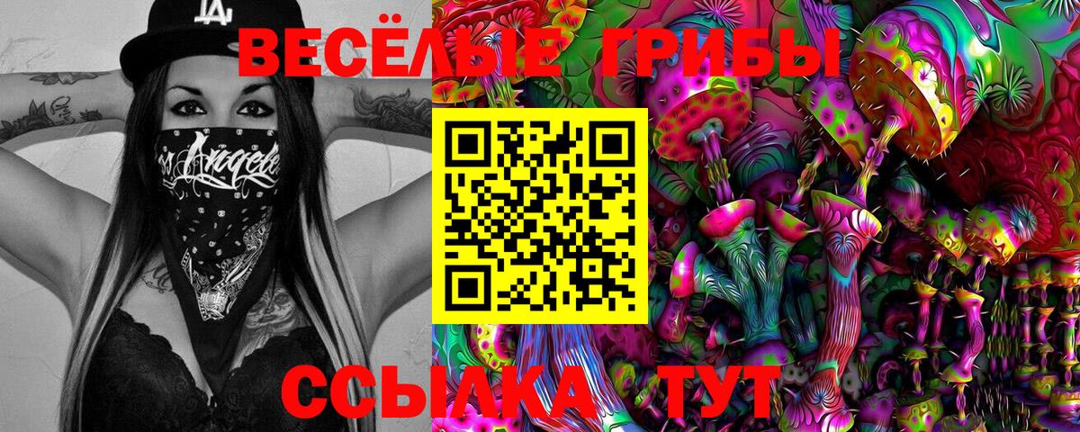 Галлюциногенные грибы GOLDEN TEACHER  Тында  закладка  Галлюциногенные грибы Psilocybine cubensis 