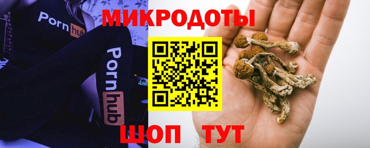 Псилоцибиновые грибы Psilocybe  Псилоцибиновые грибы Cubensis  Тында  Вход с VPN 